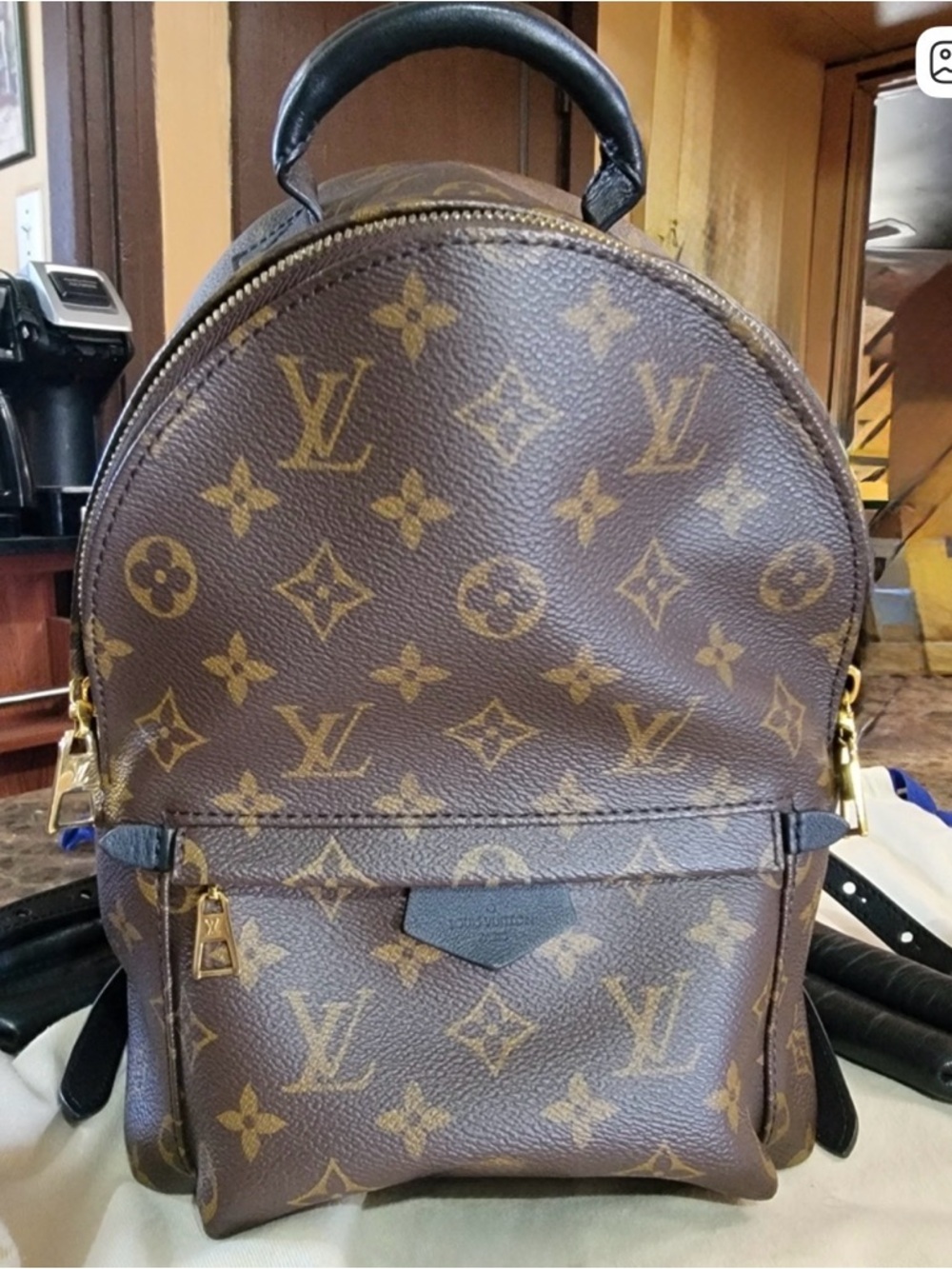 Louis Vuitton Palm Springs PM Backpack Monogram Canvas Brown